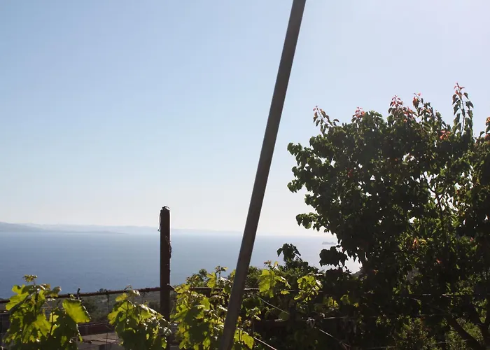 Daire Oceanfront Outlook *